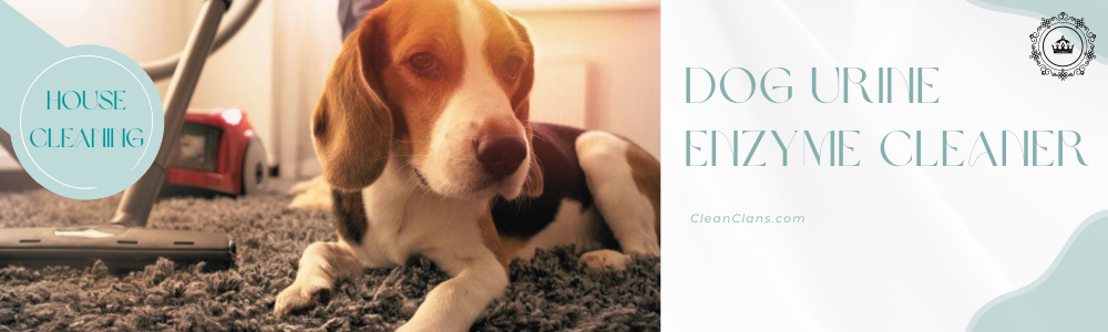 Homemade enzyme cleaner for dog urine