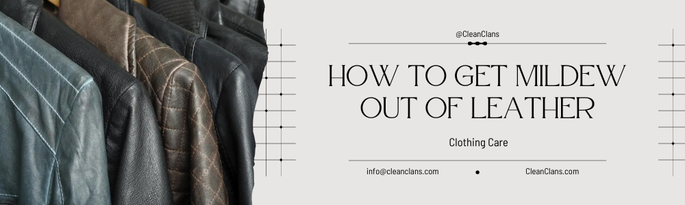 How to get mildew out of leather