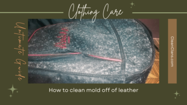 How to clean mold off of leather