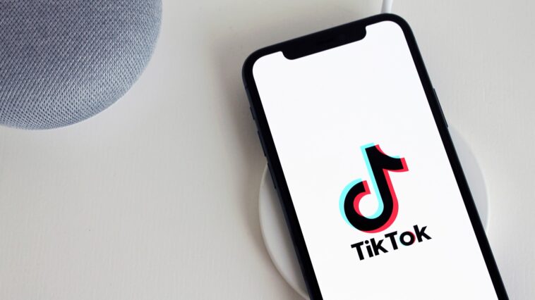 tiktok nuns about convent life