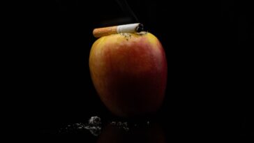 apple or cherry for smoking turkey