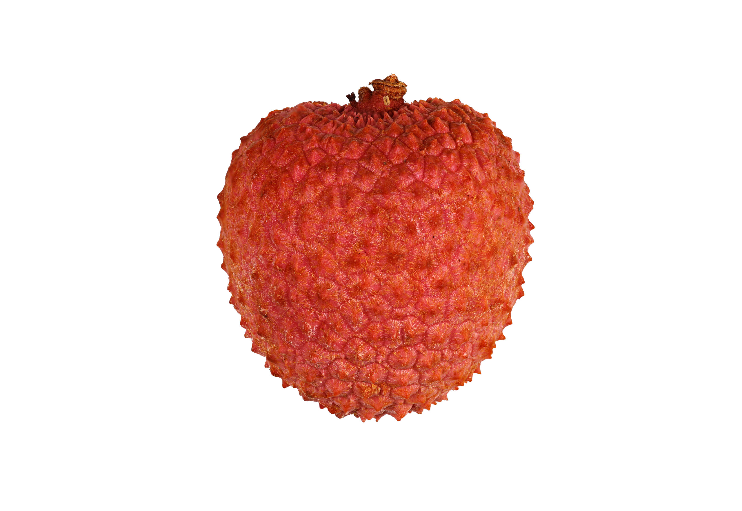 where to find lychee fruit