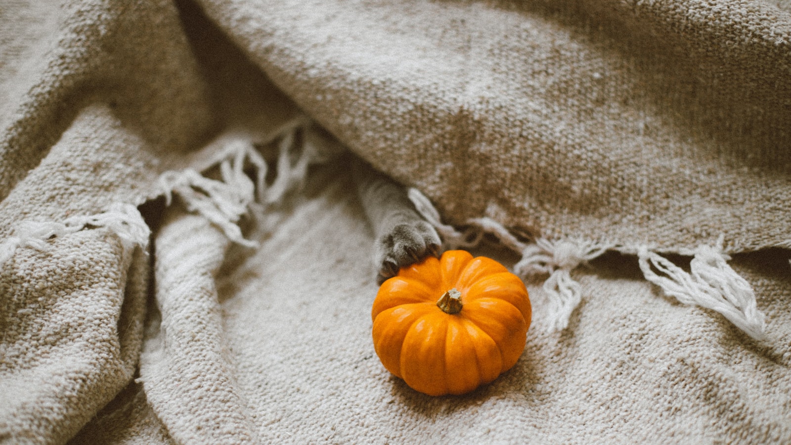 pumpkin seed oil and peppermint for hair growth