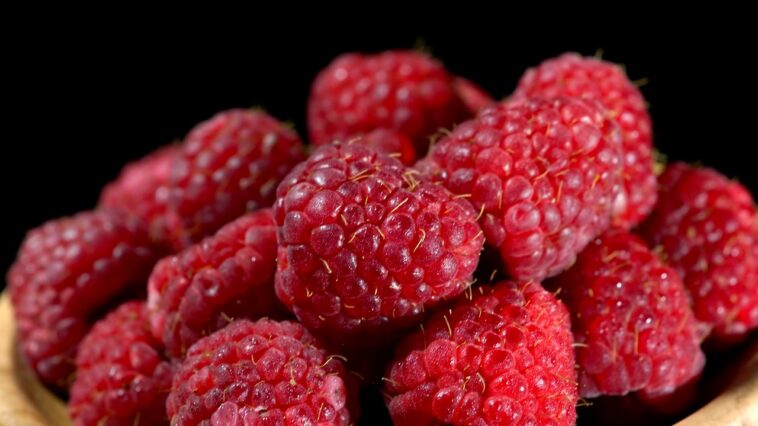 flowers that look like raspberries