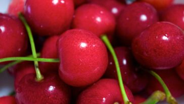 i care a lot cherry meaning